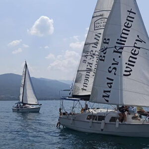 Sip and Sail: Explore Tikves Vineyards and Ohrid Lake!